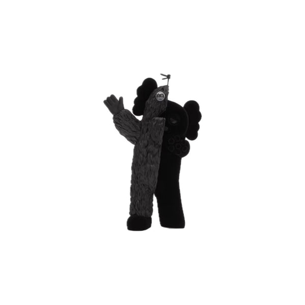 KAWS MEDICOMTOY - LUST PANAMA