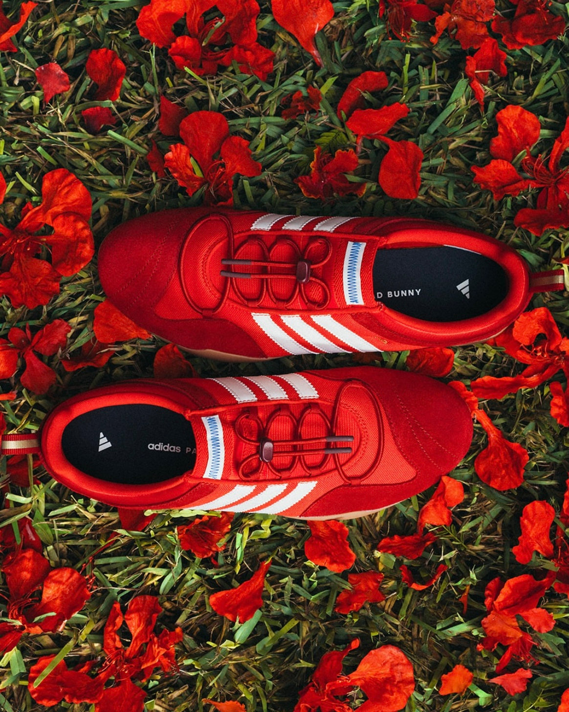 ADIDAS x BAD BUNNY BALLERINA VIVID RED
