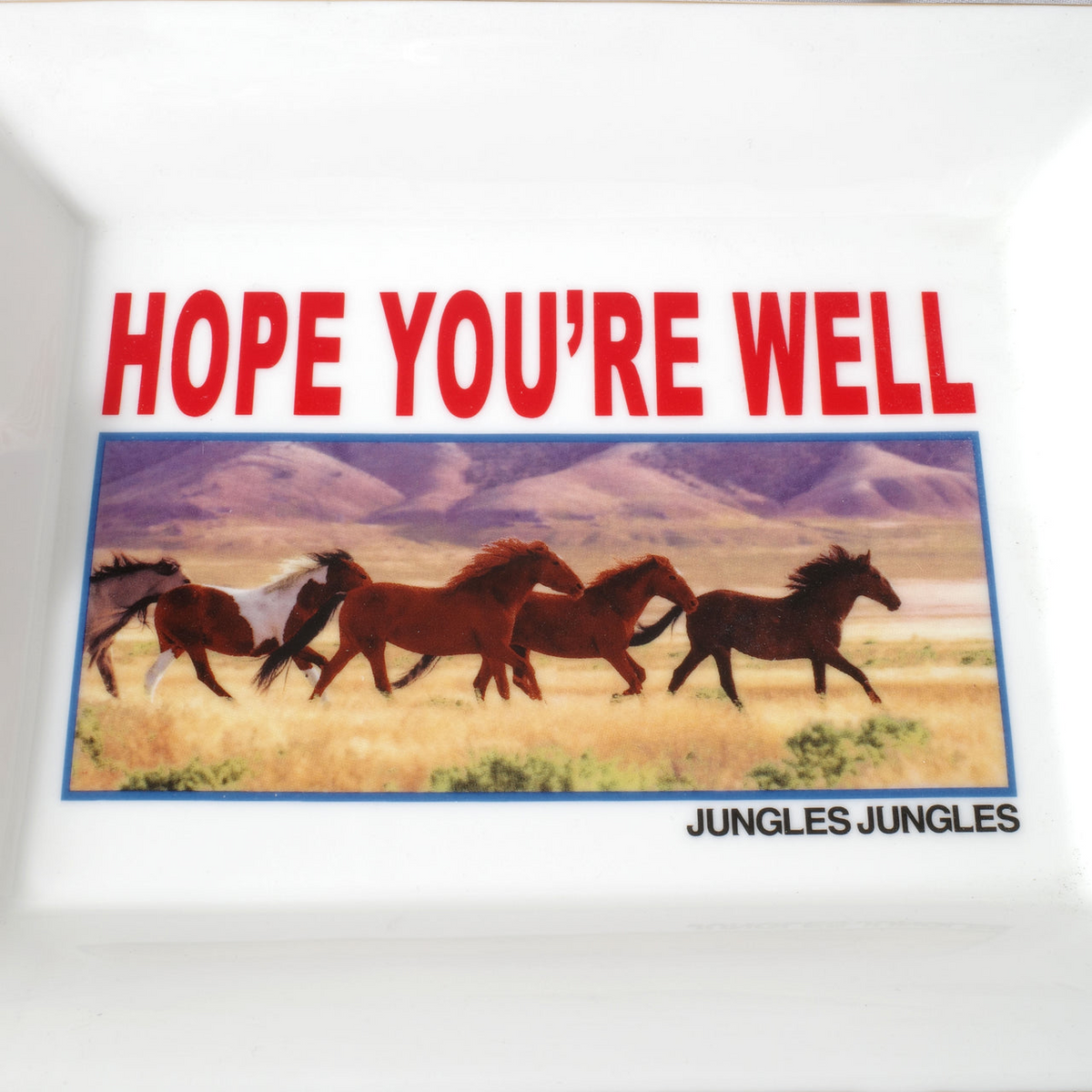 JUNGLES JUNGLES HOPE YOU’RE WELL ASHTRAY