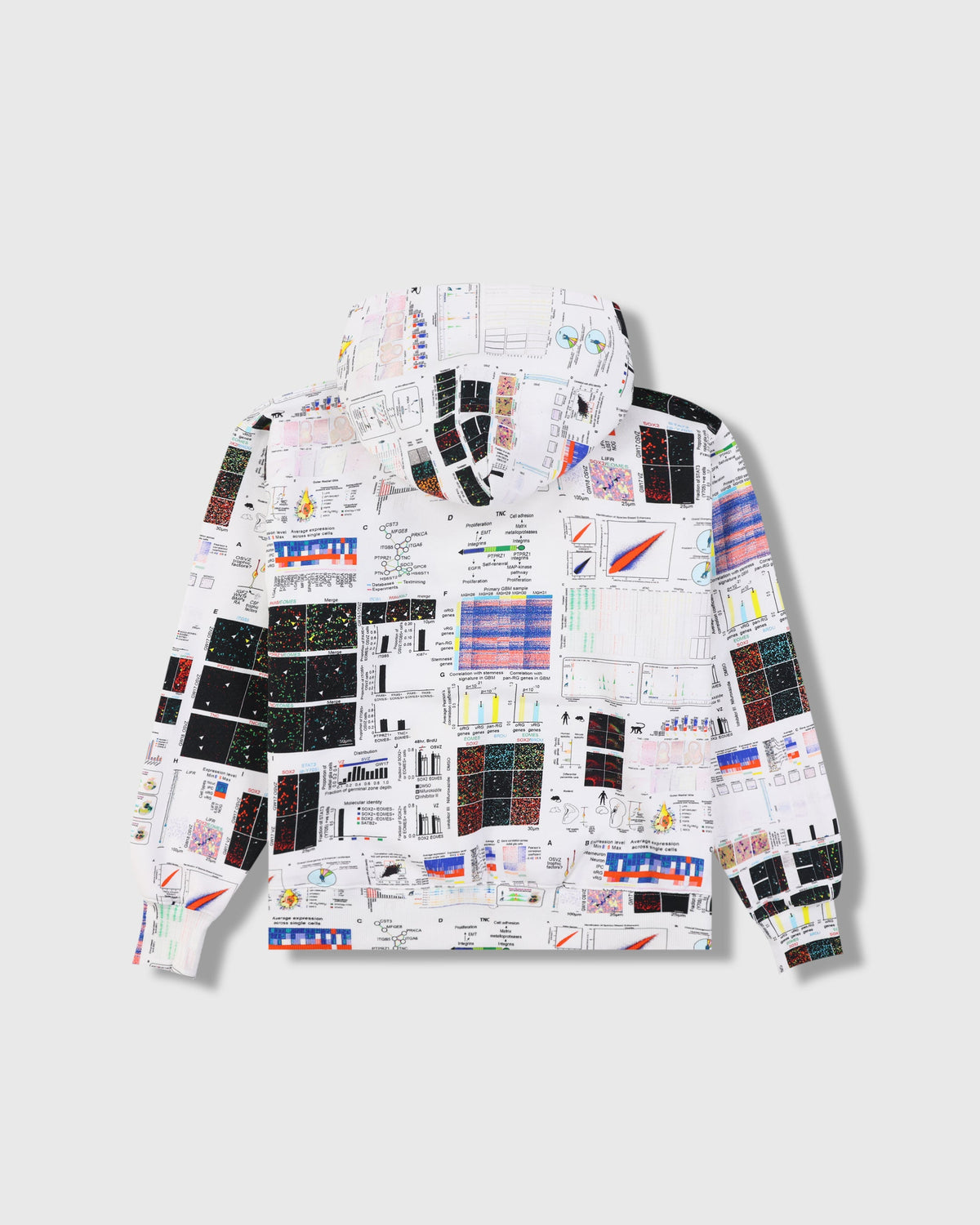 PLEASURES TEXTBOOK HOODIE